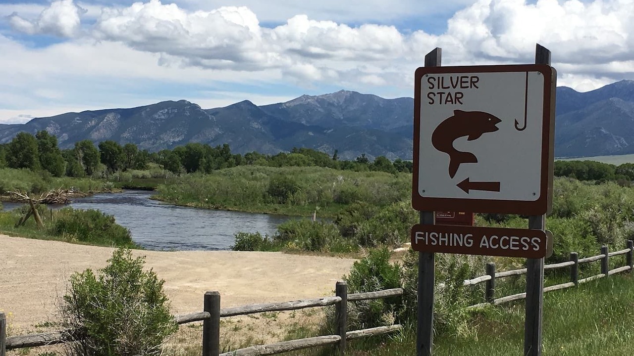 Photo of Others in Silver Star