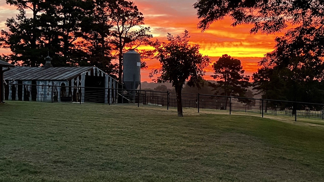 Photo of Outdoor in Swink