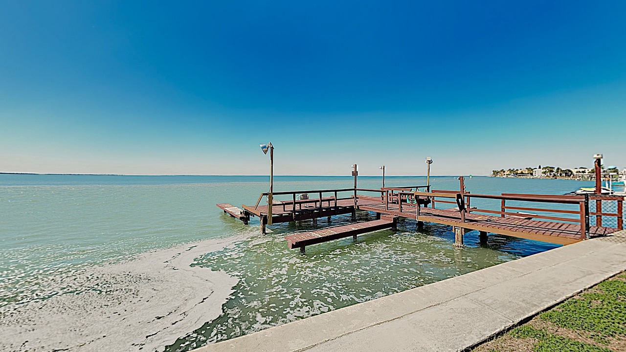 Photo of Others in South Padre Island