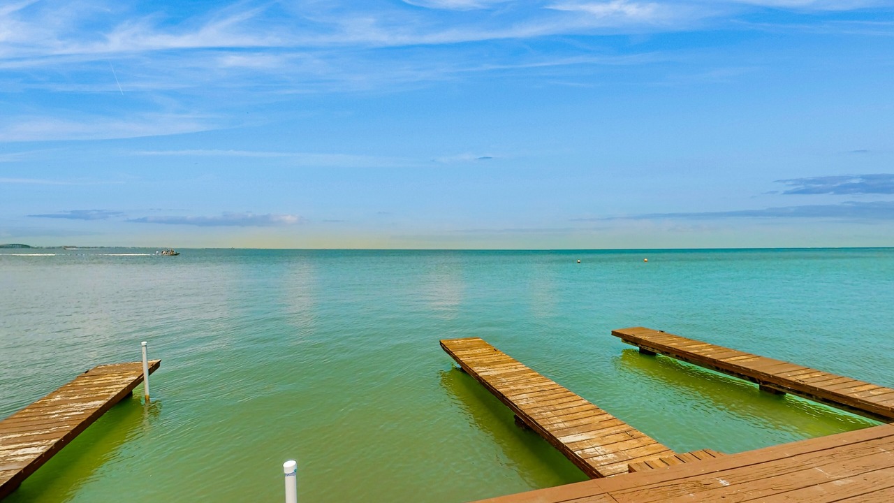 Photo of Others in South Padre Island