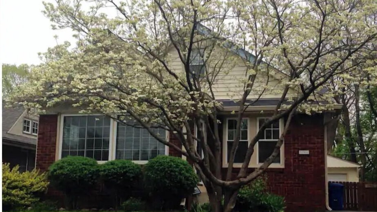Photo of Outdoor in Meridian-Kessler