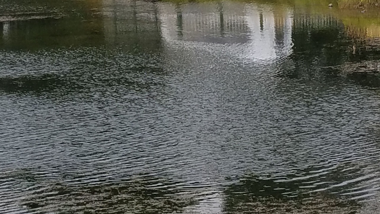Photo of Outdoor in Florence