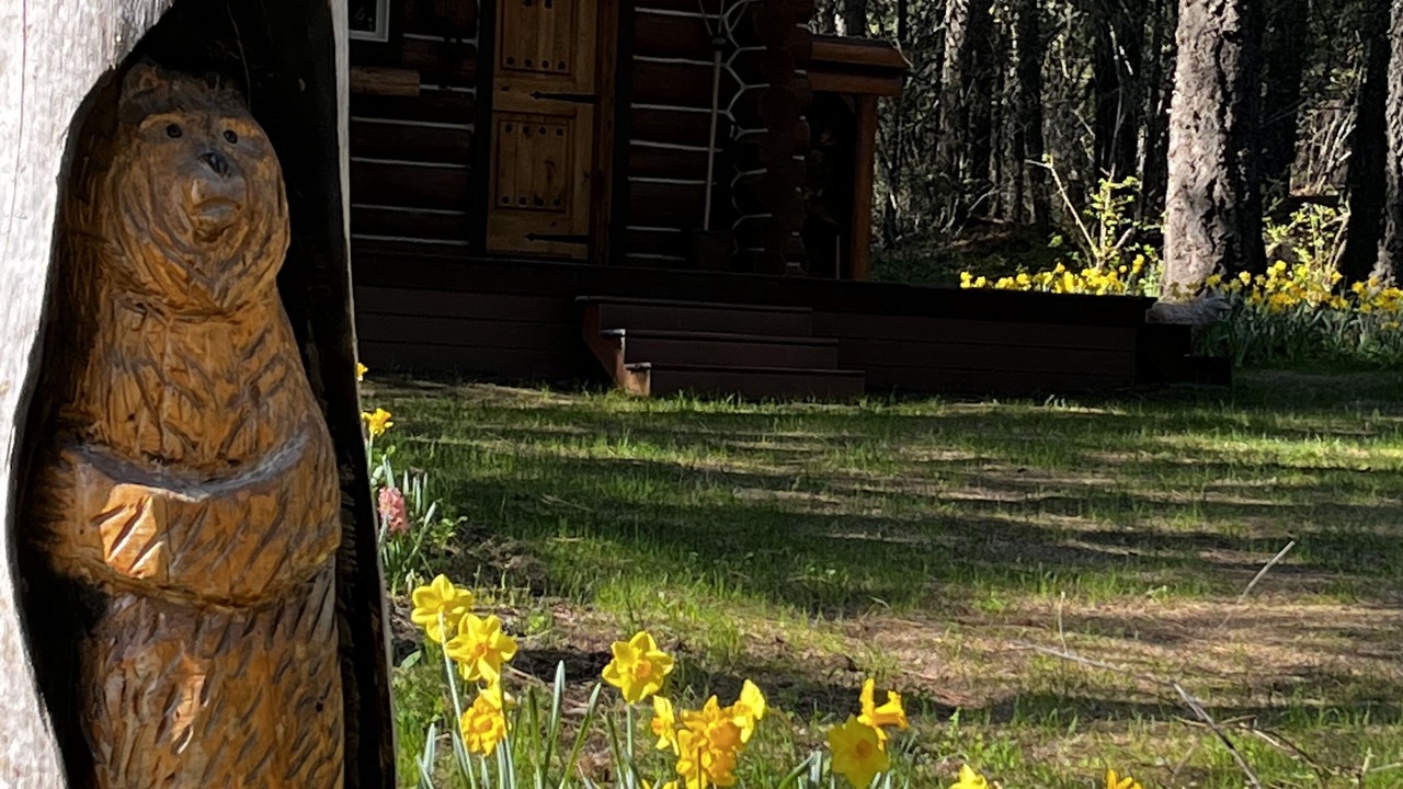 Photo of Others in Bonner County