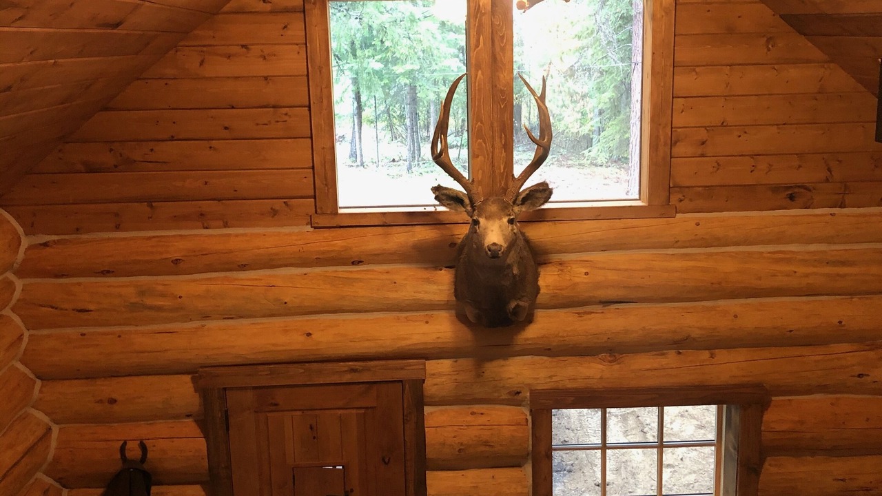 Photo of Others in Bonner County