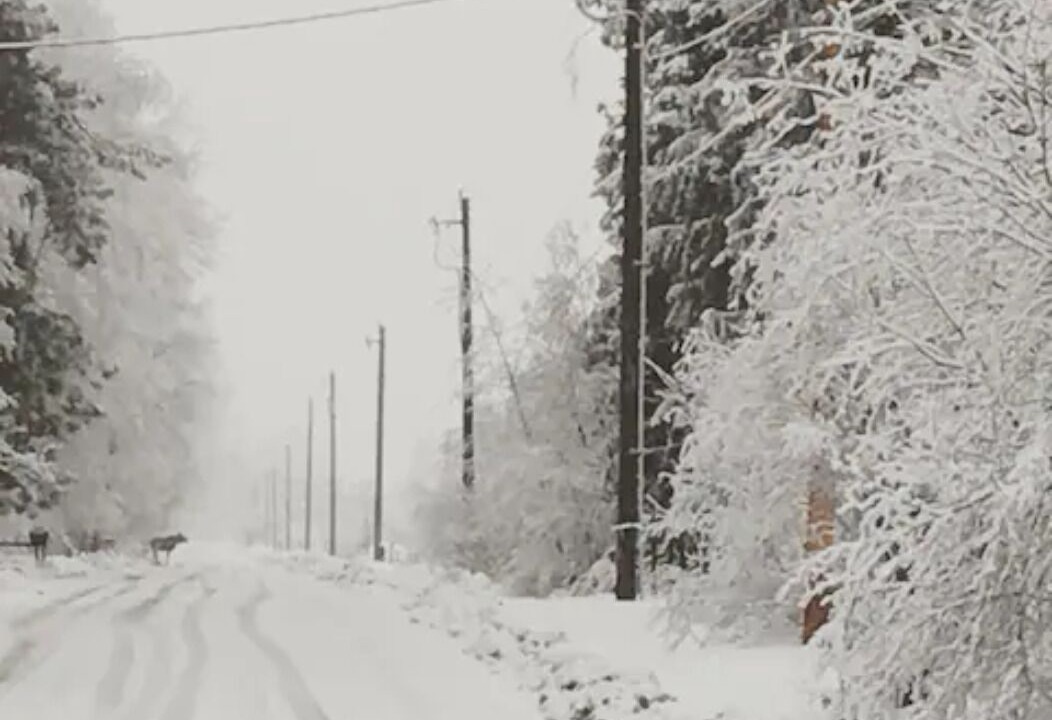 Photo of Others in Sandpoint