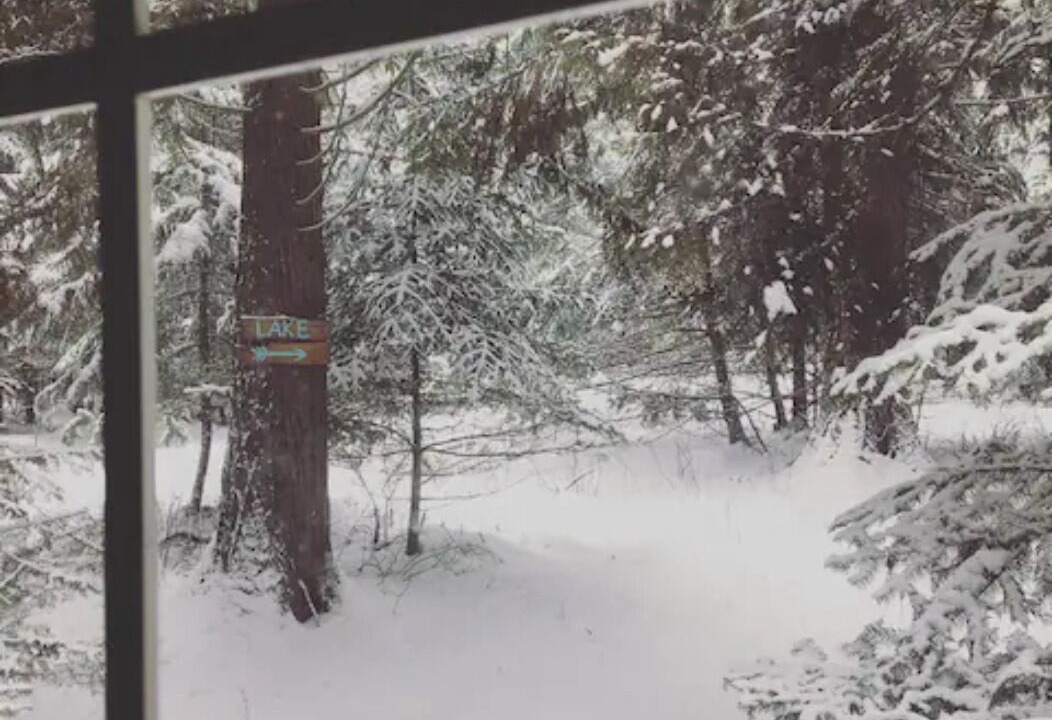 Photo of Others in Sandpoint