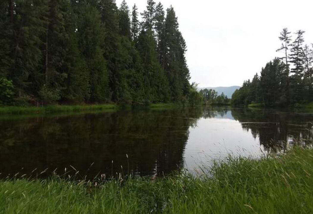 Photo of Outdoor in Sandpoint