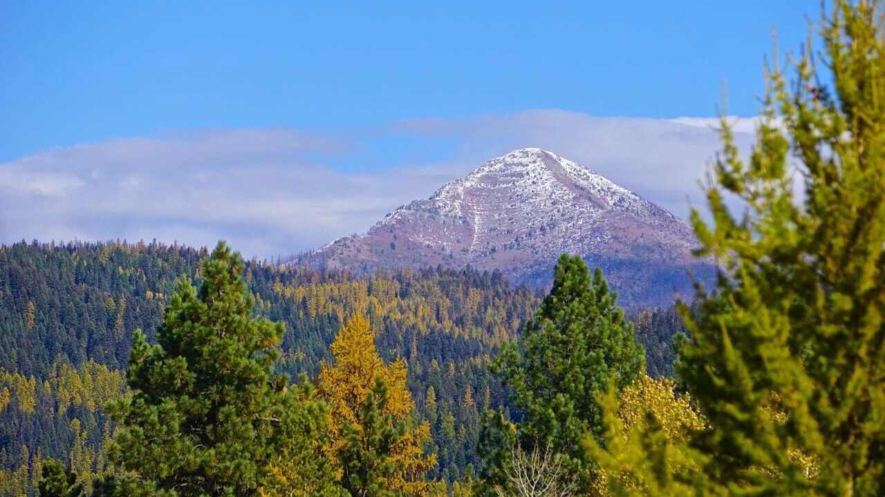 Photo of Others in Seeley Lake