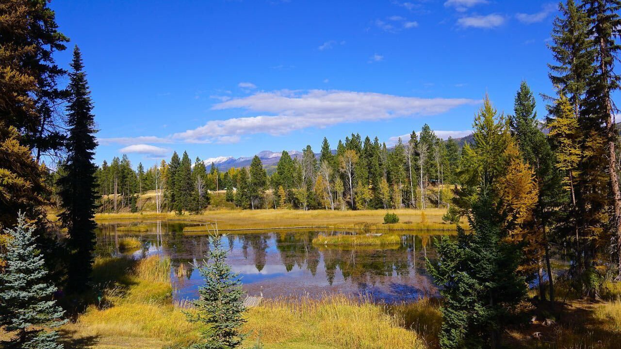 Photo of Others in Seeley Lake