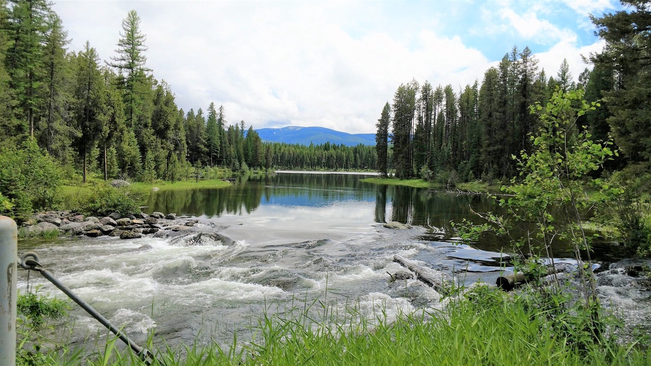 Photo of Outdoor in Condon