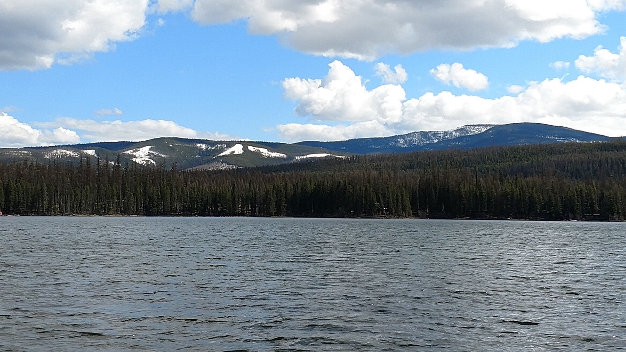 Photo of Outdoor in Condon