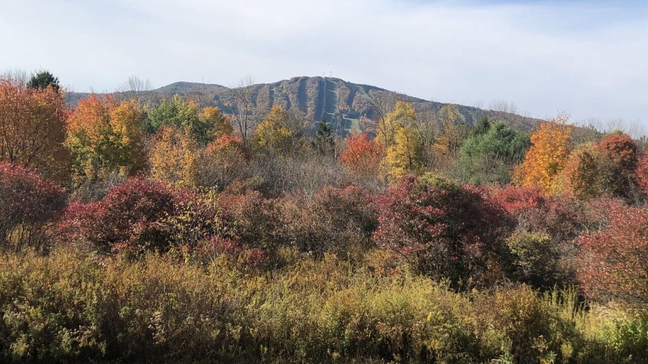 Photo of Outdoor in Union Dale