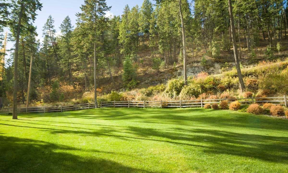 Photo of Outdoor in Angel Point