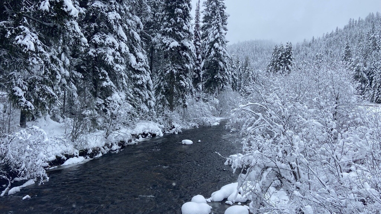 Photo of Outdoor in Lolo