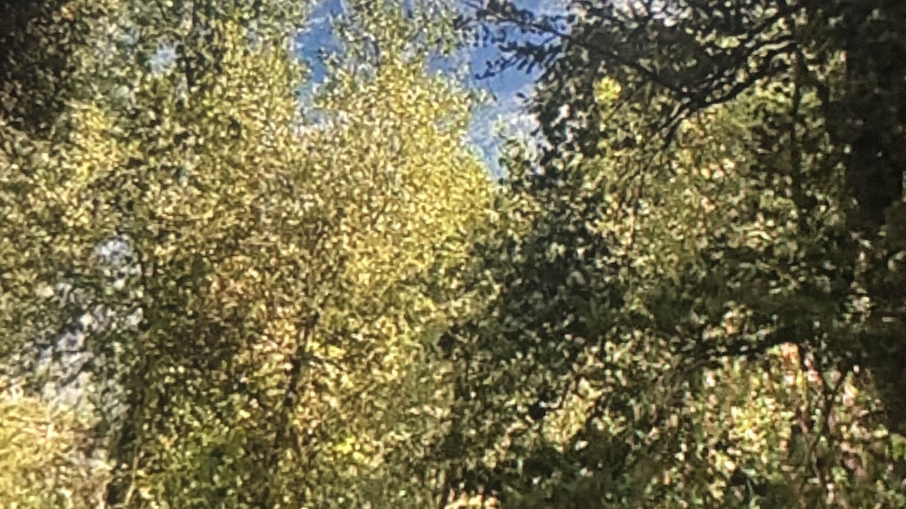 Photo of Outdoor in Calistoga