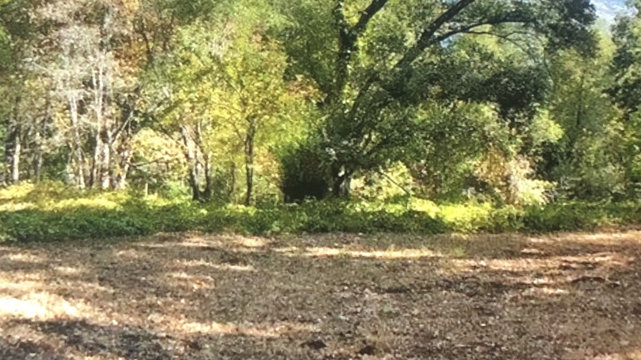 Photo of Outdoor in Calistoga