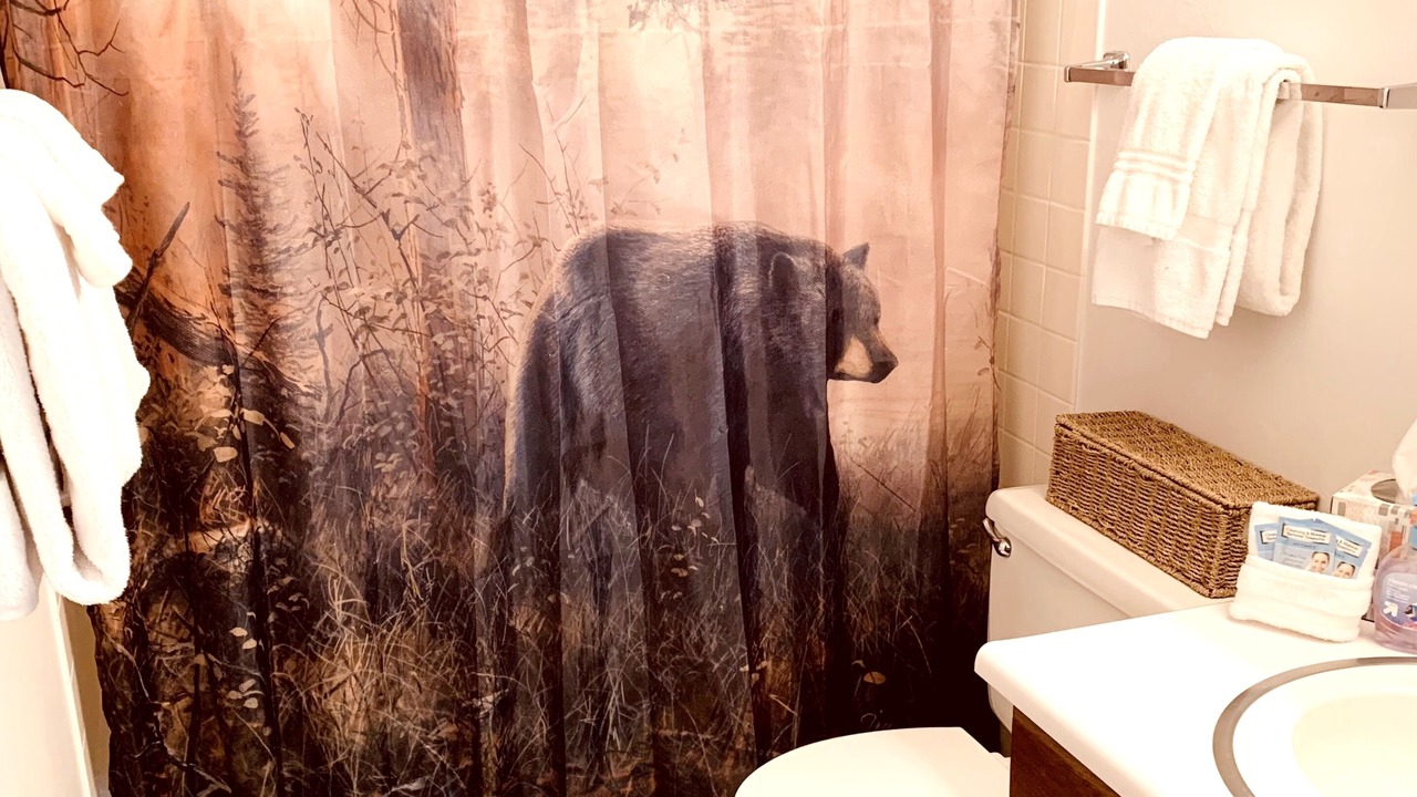 Photo of Bathroom in Horse Butte