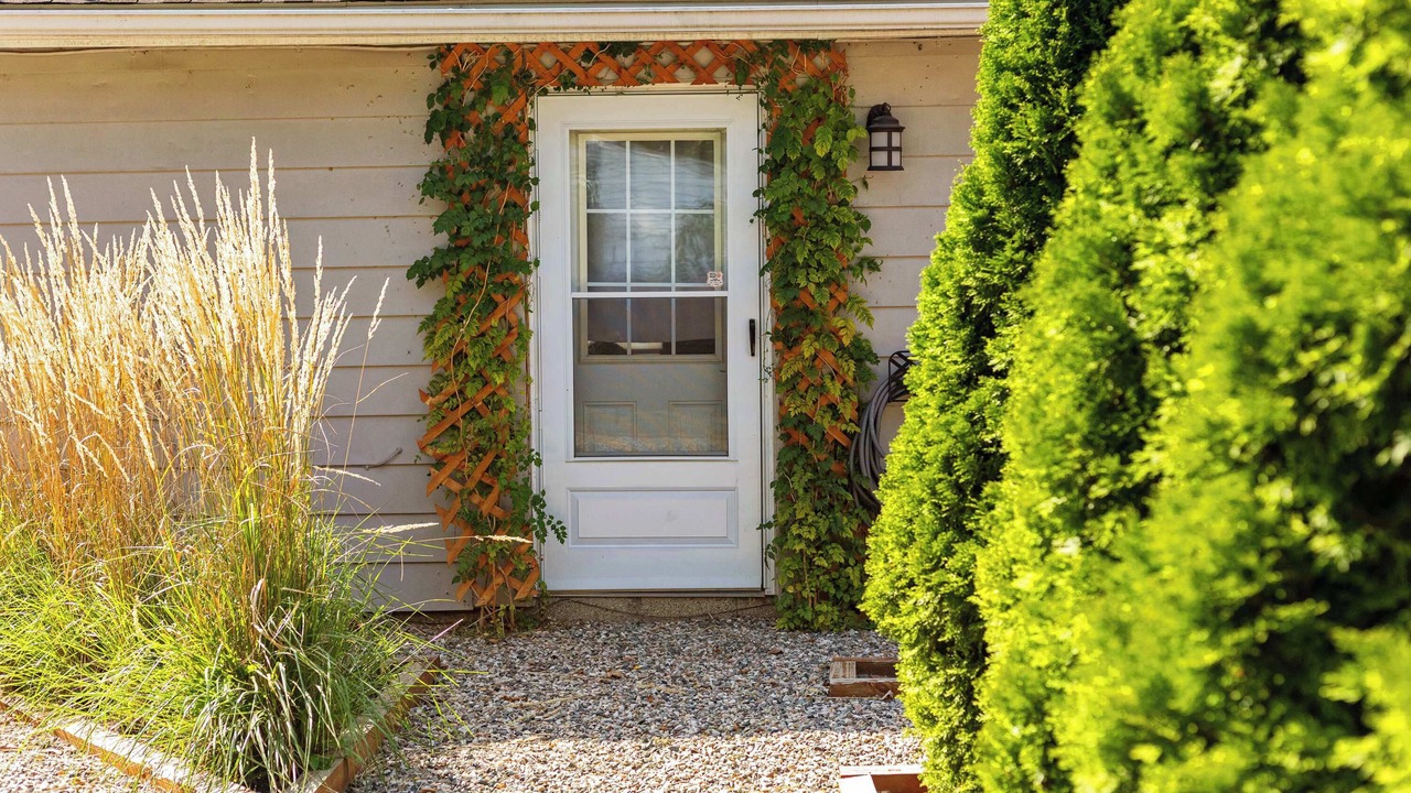 Photo of Outdoor in Ferndale