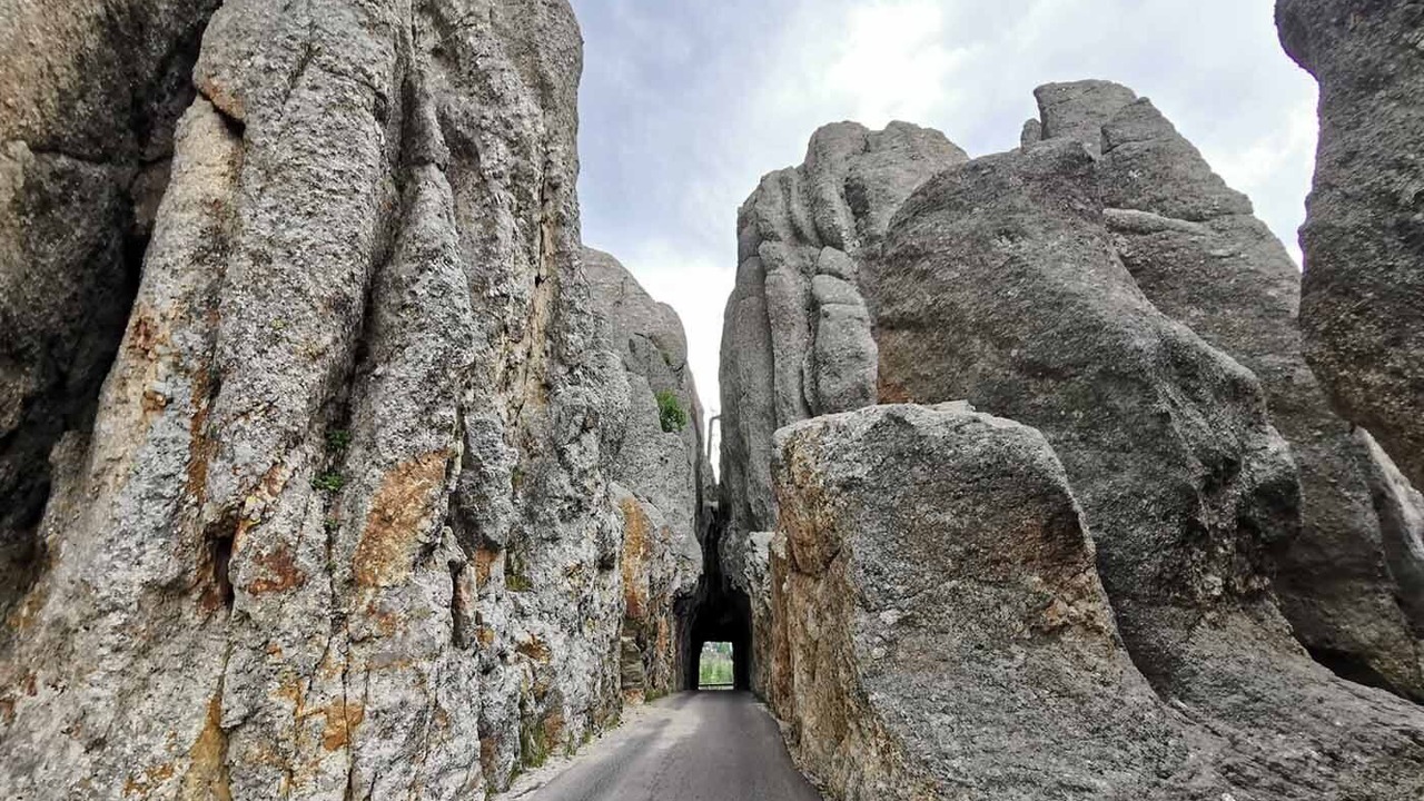 Photo of Others in Custer