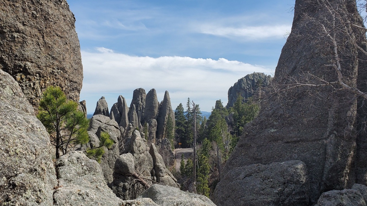 Photo of Others in Custer