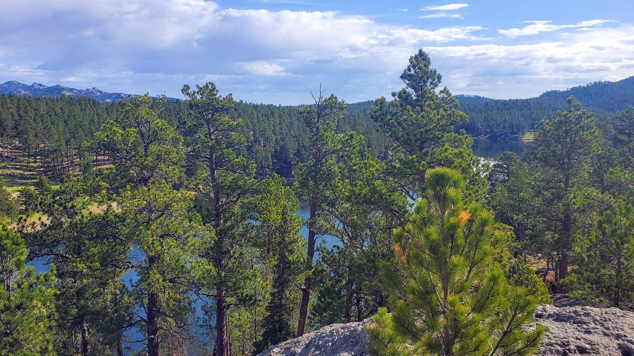 Photo of Outdoor in Custer
