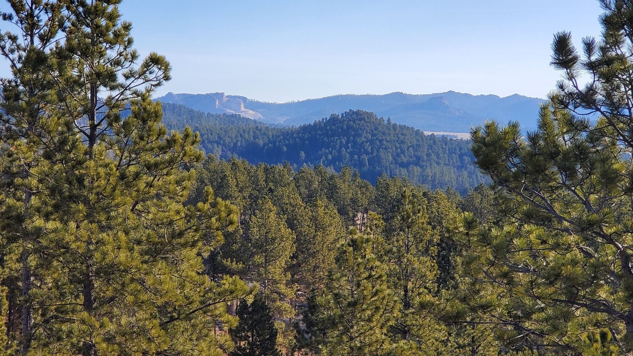 Photo of Others in Custer