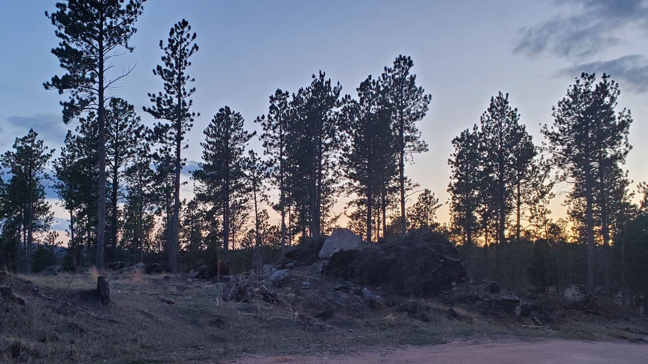 Photo of Others in Custer