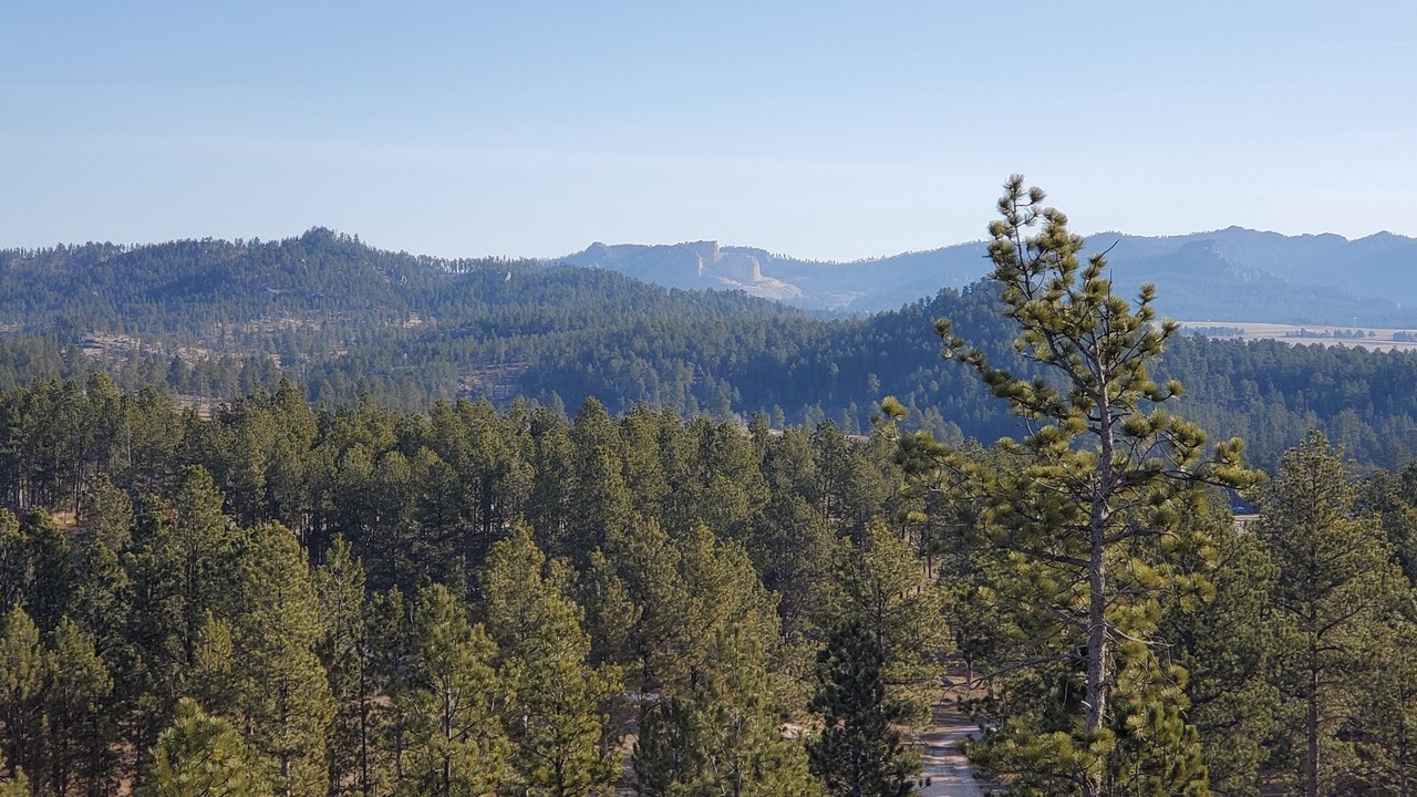 Photo of Others in Custer