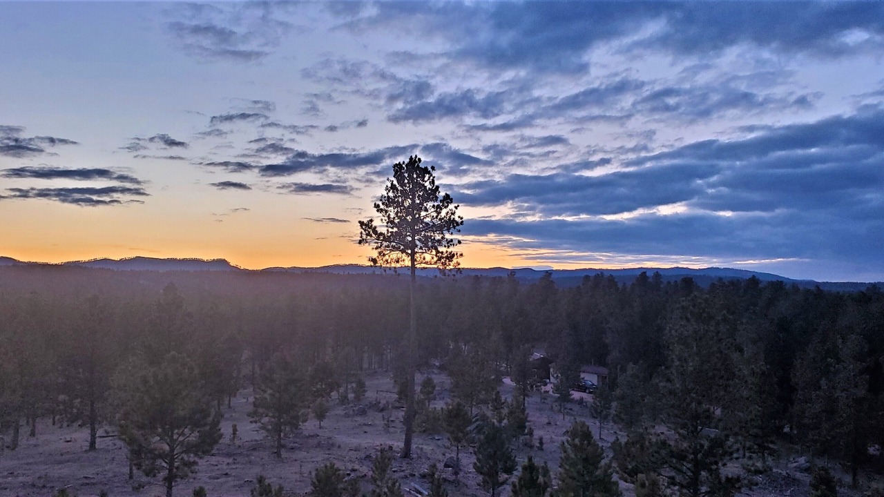 Photo of Others in Custer