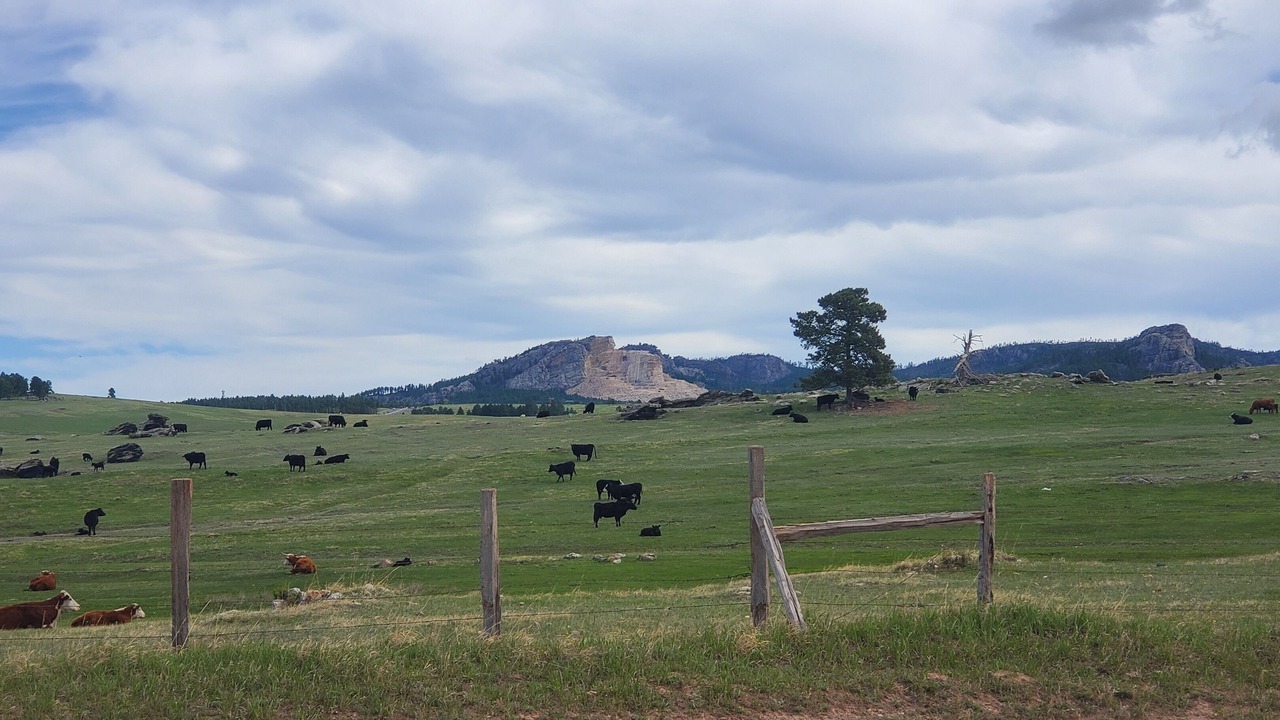 Photo of Others in Custer