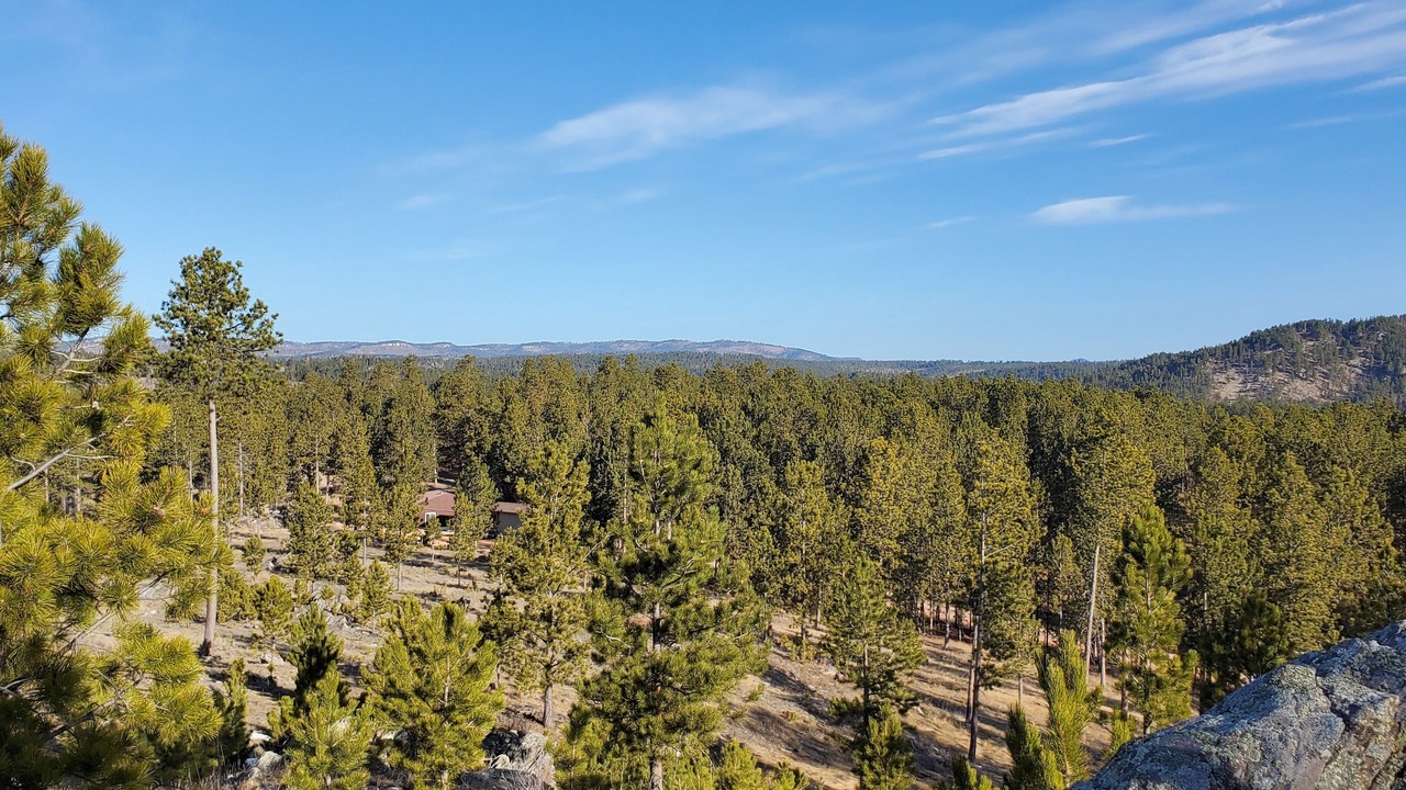 Photo of Others in Custer