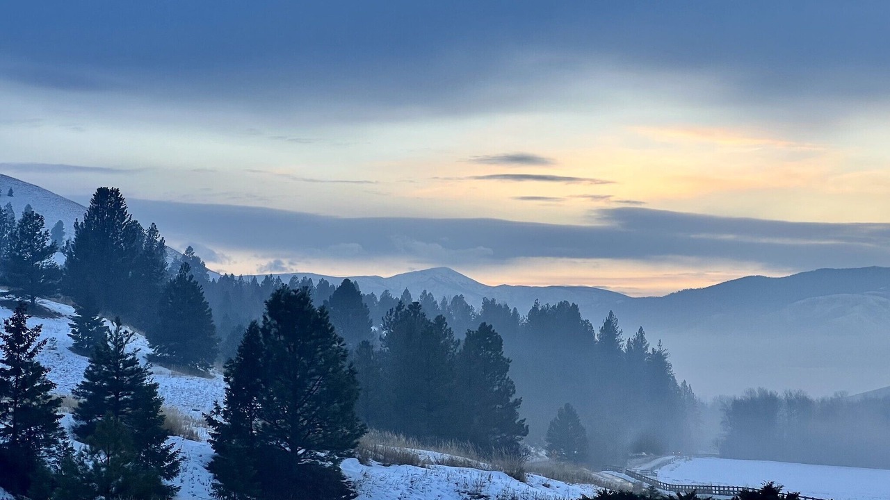 Photo of Others in Missoula