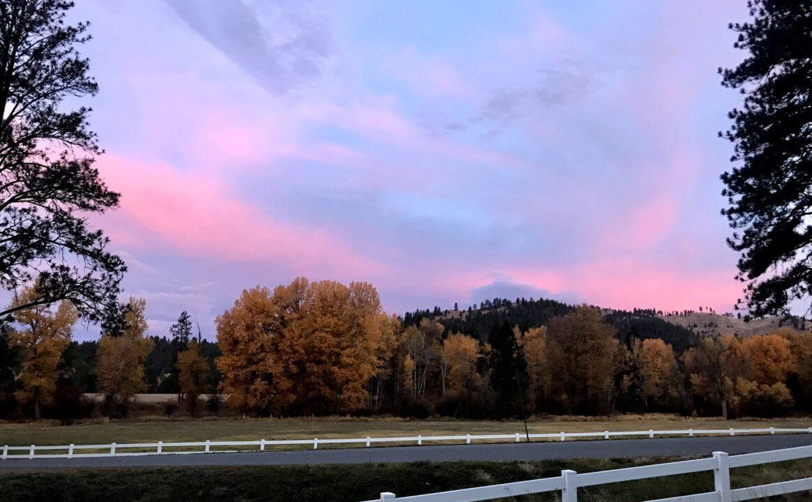 Photo of Others in Missoula