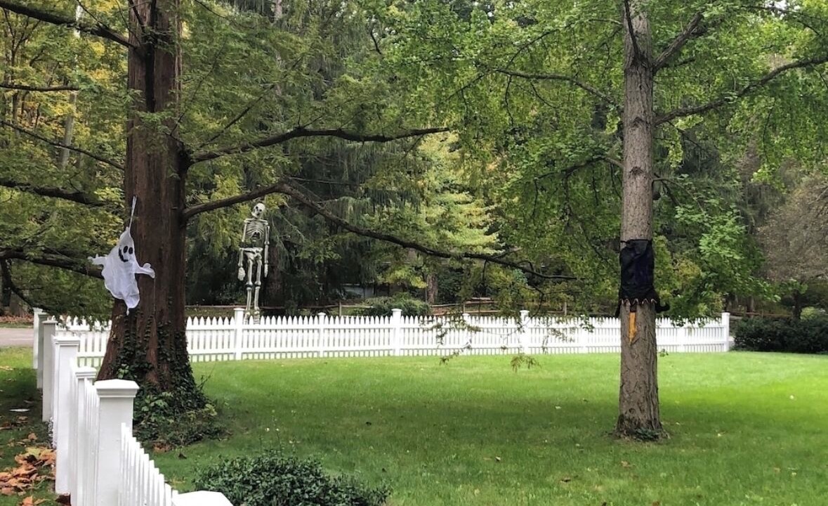 Photo of Others in Indianapolis