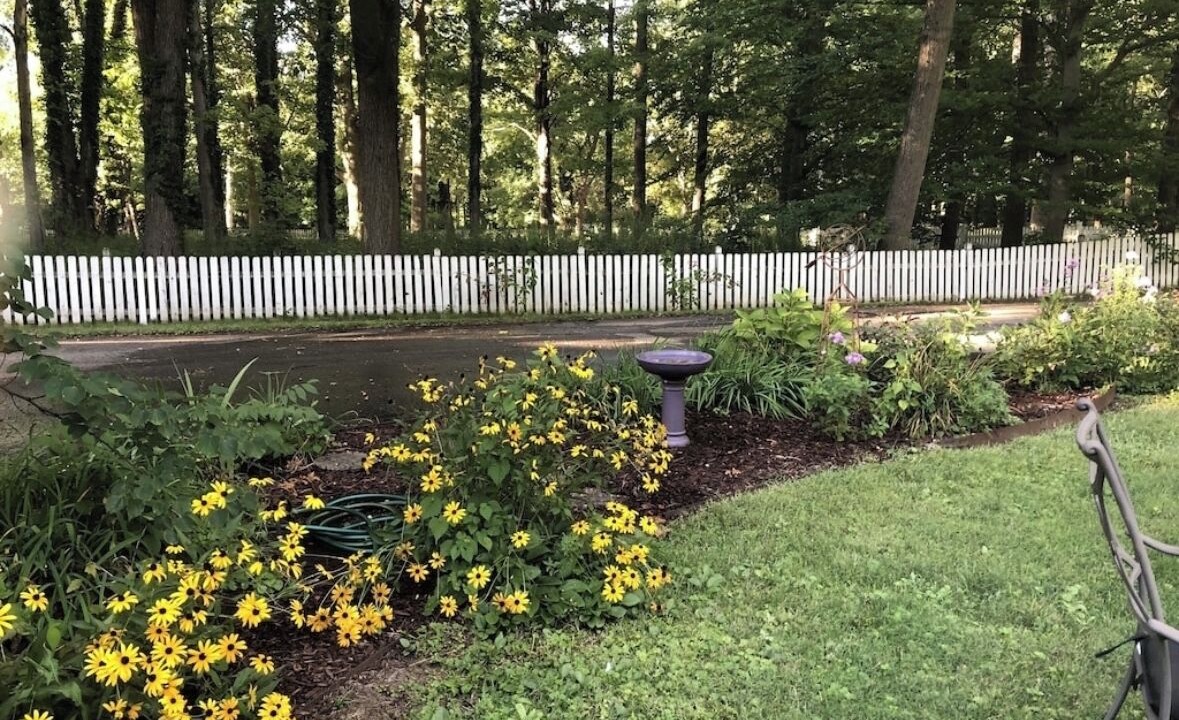 Photo of Outdoor in Indianapolis