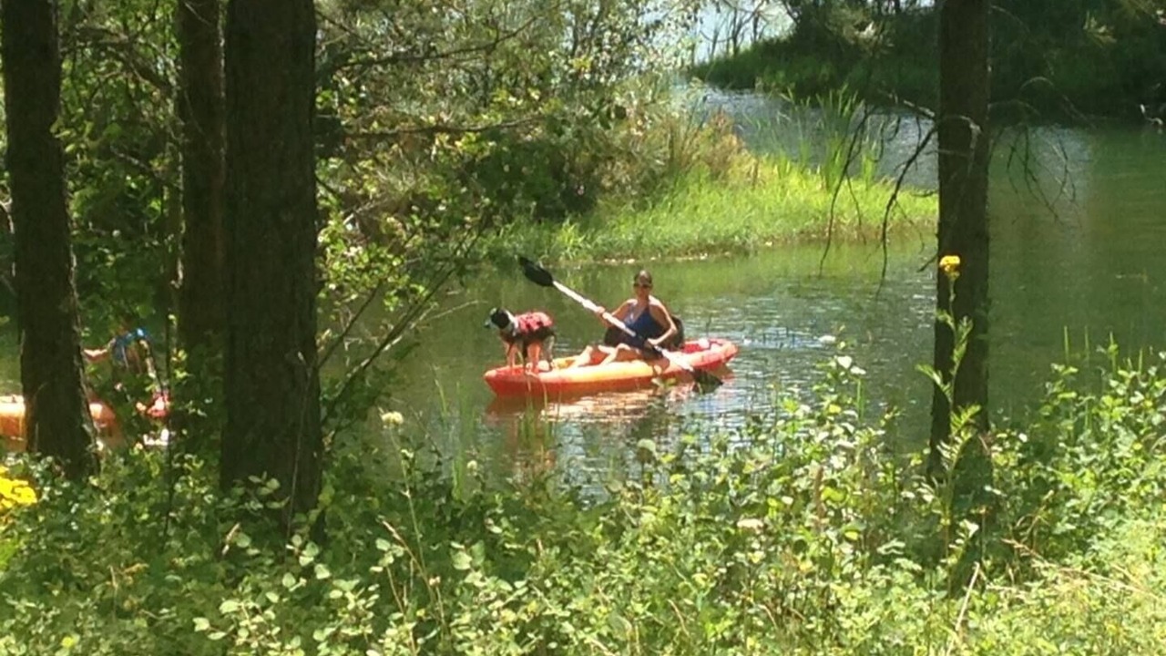 Photo of Others in Dover Bay