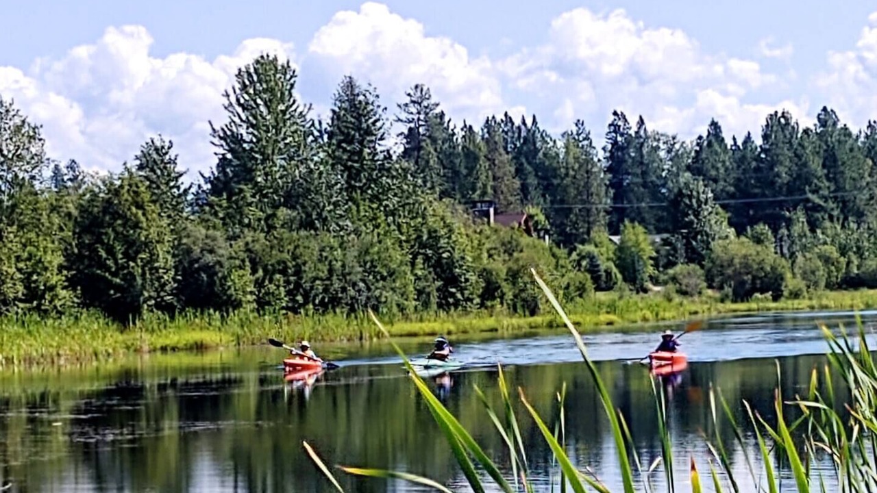 Photo of Others in Dover Bay