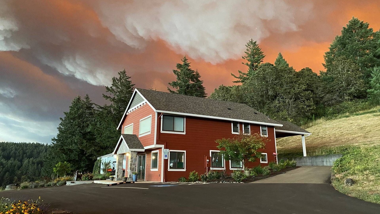 Photo of Outdoor in Newberg