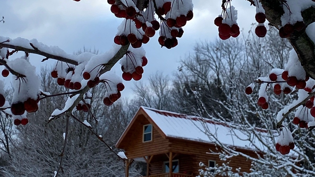 Photo of Outdoor in Millersburg
