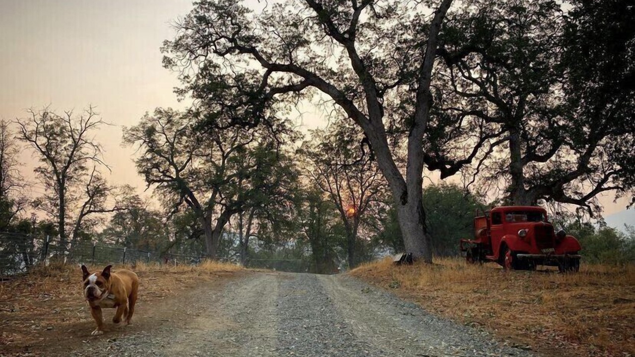 Photo of Outdoor in Posey