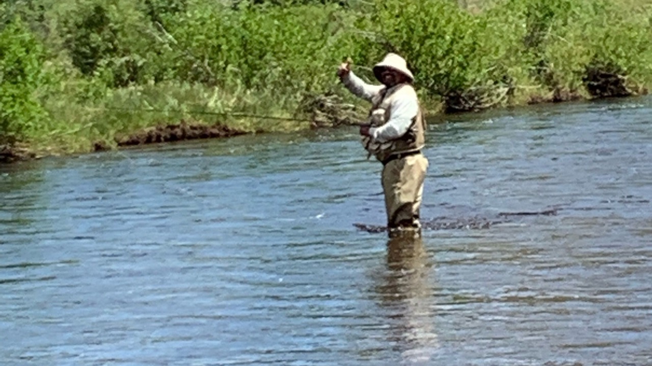 Photo of Outdoor in Woods Landing-Jelm
