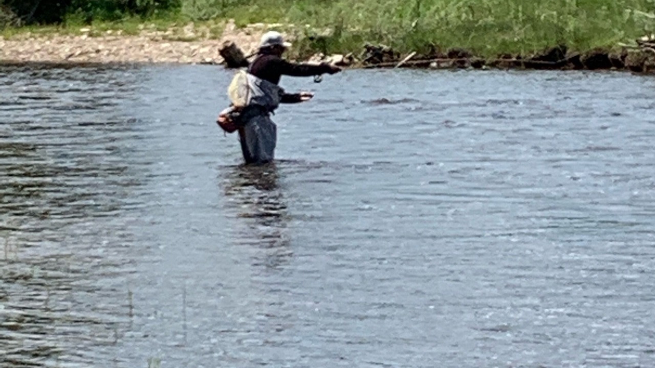 Photo of Others in Woods Landing-Jelm