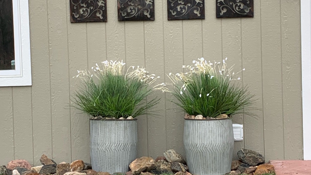 Photo of Outdoor in Woods Landing-Jelm