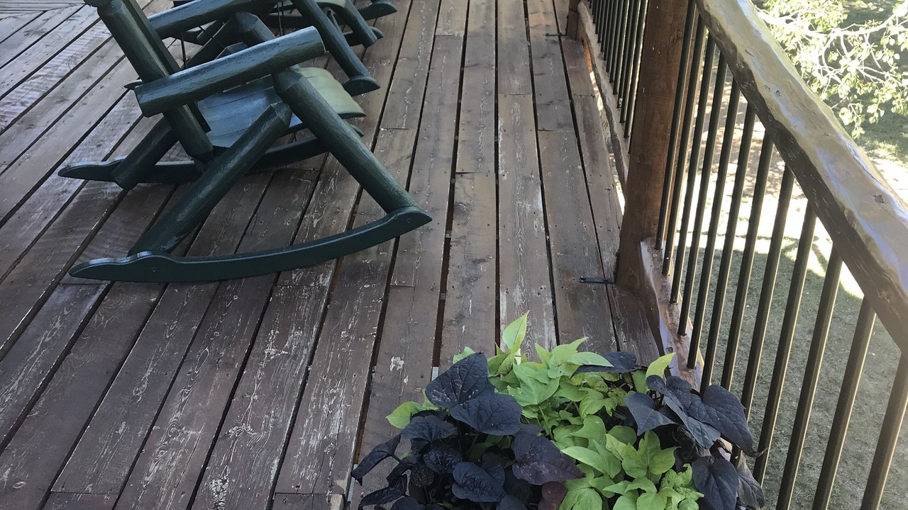 Photo of Outdoor in Woods Landing-Jelm