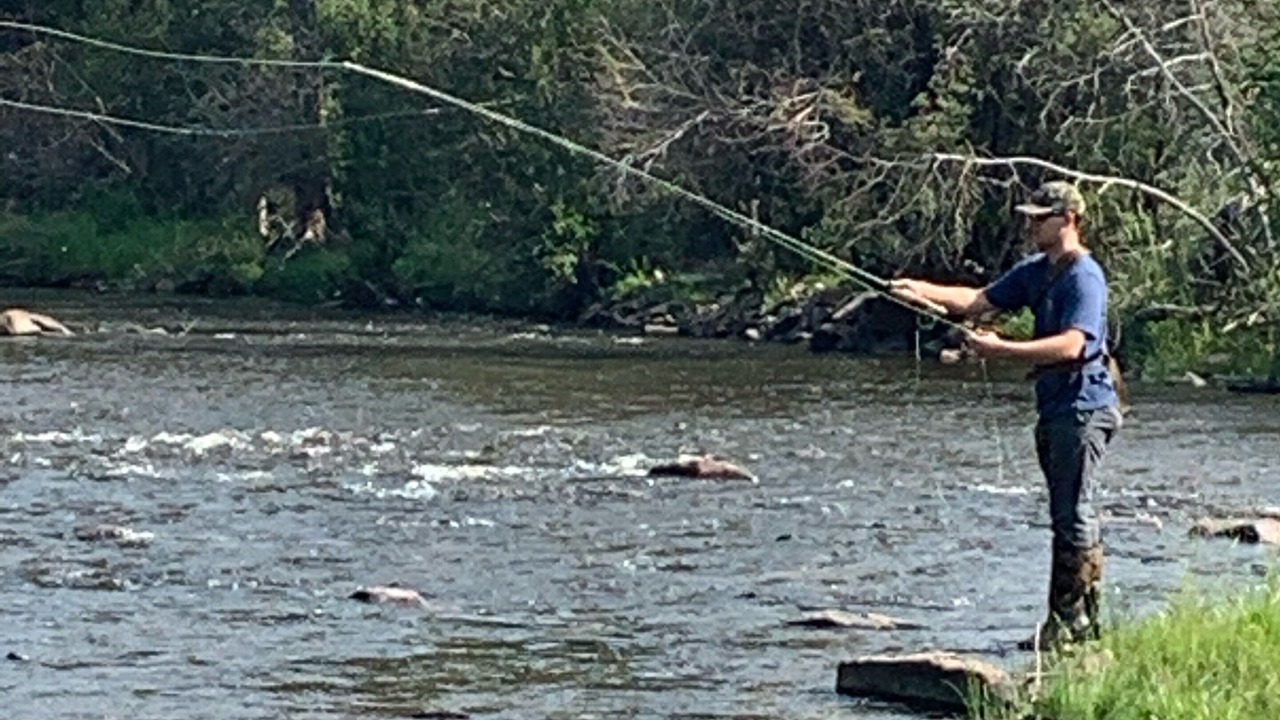 Photo of Others in Woods Landing-Jelm