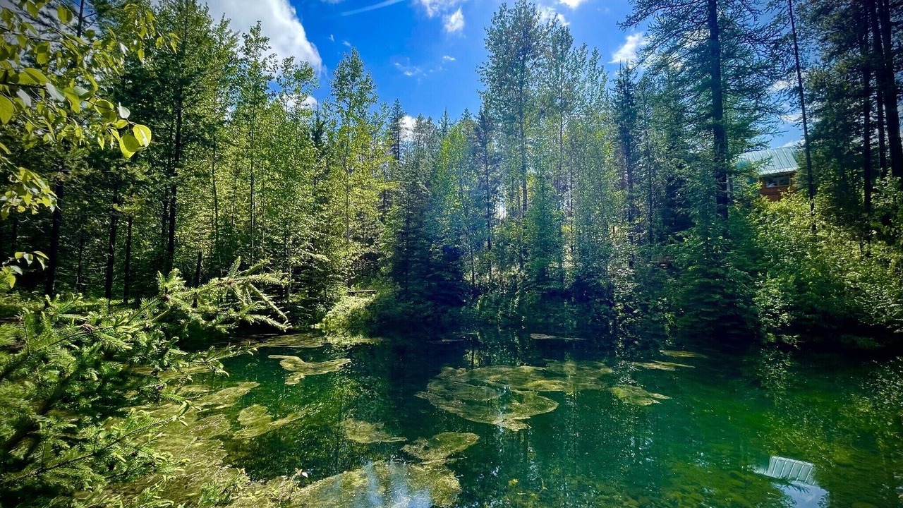 Photo of Outdoor in Columbia Falls