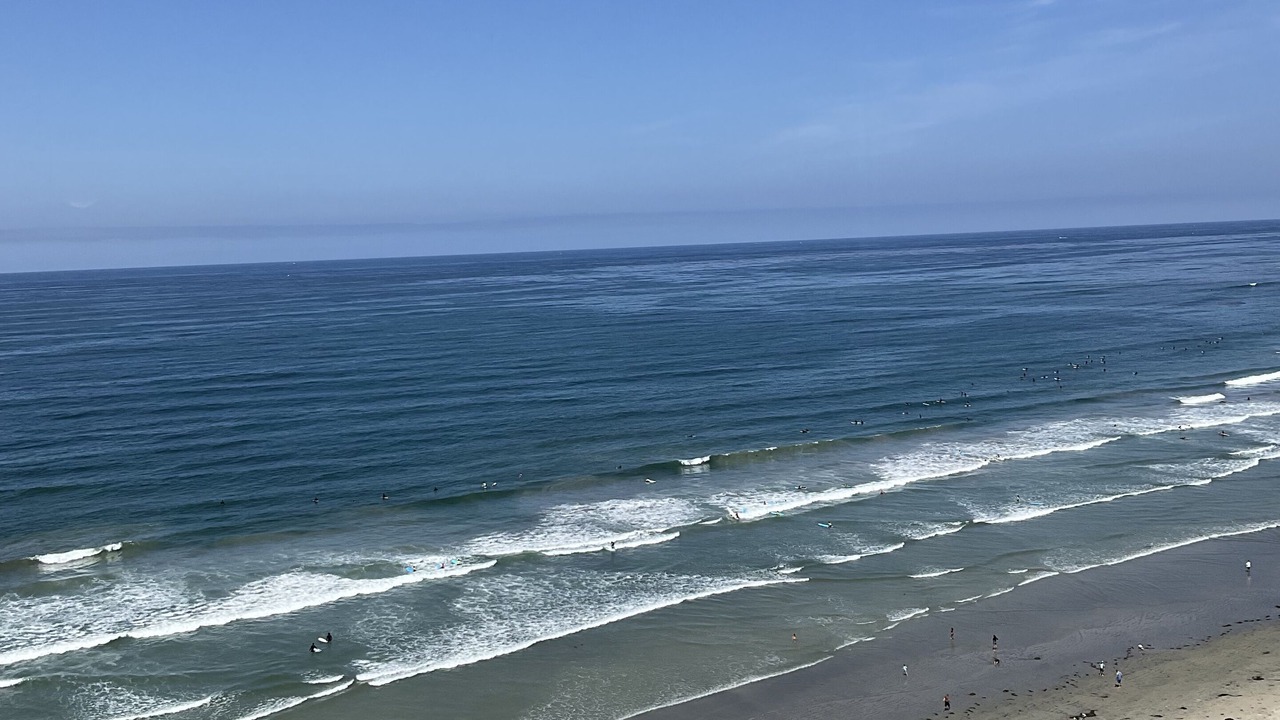Photo of Others in North Pacific Beach