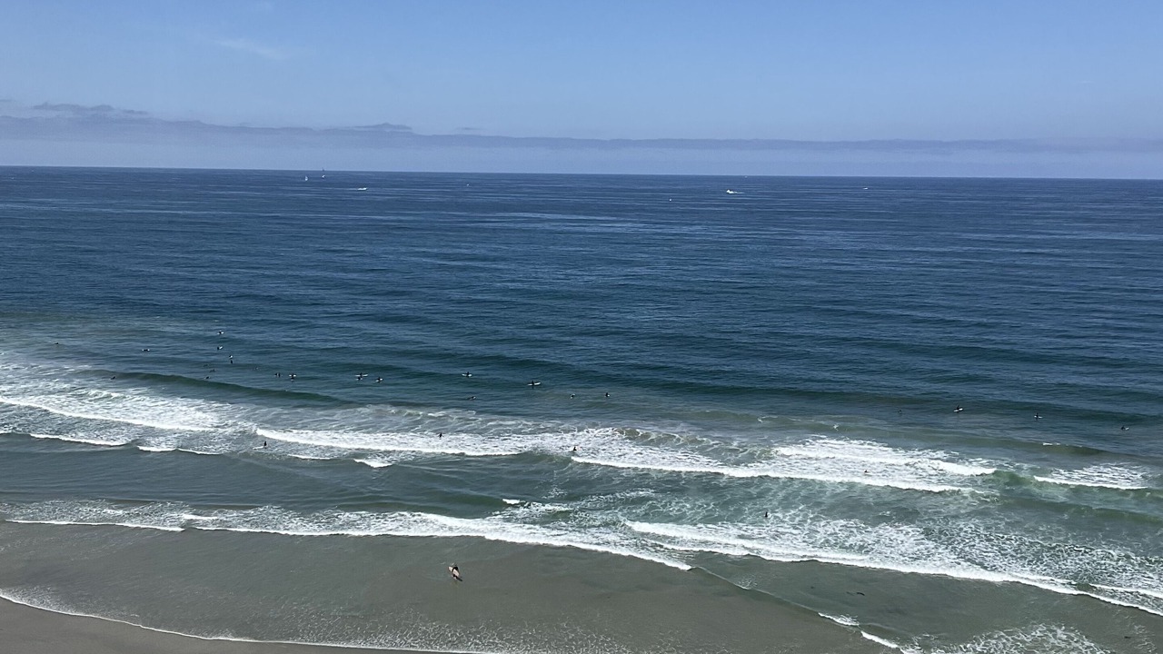Photo of Others in North Pacific Beach