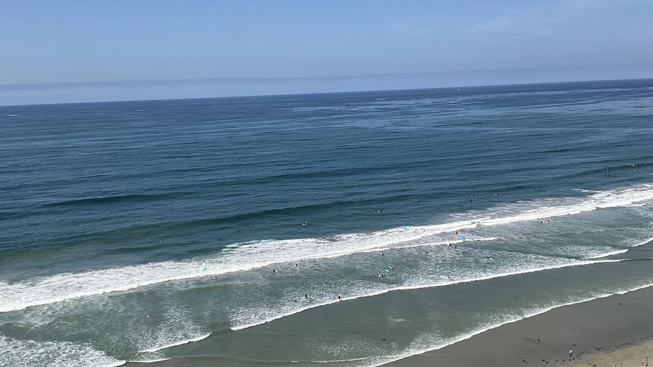 Photo of Others in North Pacific Beach