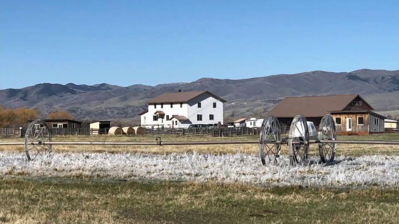 Photo of Outdoor in Whitehall